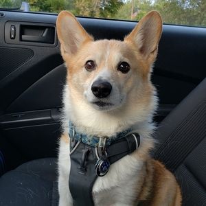 Meet your Posher, Stacy